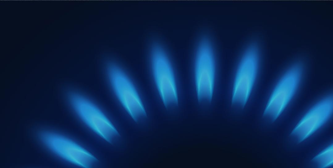 Газ&nbsp;&mdash; контроль защищает от&nbsp;утечки газа. Если пламя конфорки погасло, система безопасности варочной поверхности, автоматически отключает подачу газа